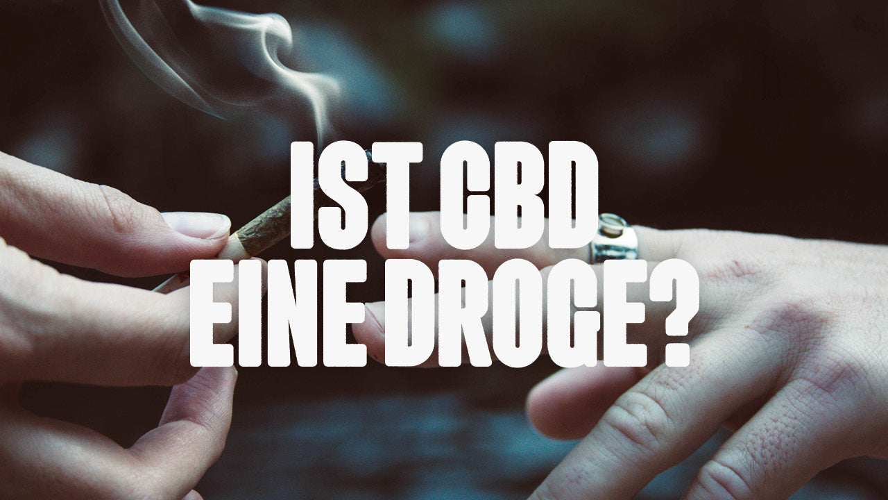 Le CBD est-il une drogue ?