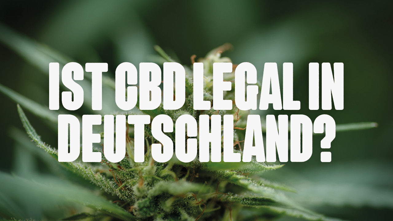 Le CBD est-il légal en Allemagne ?
