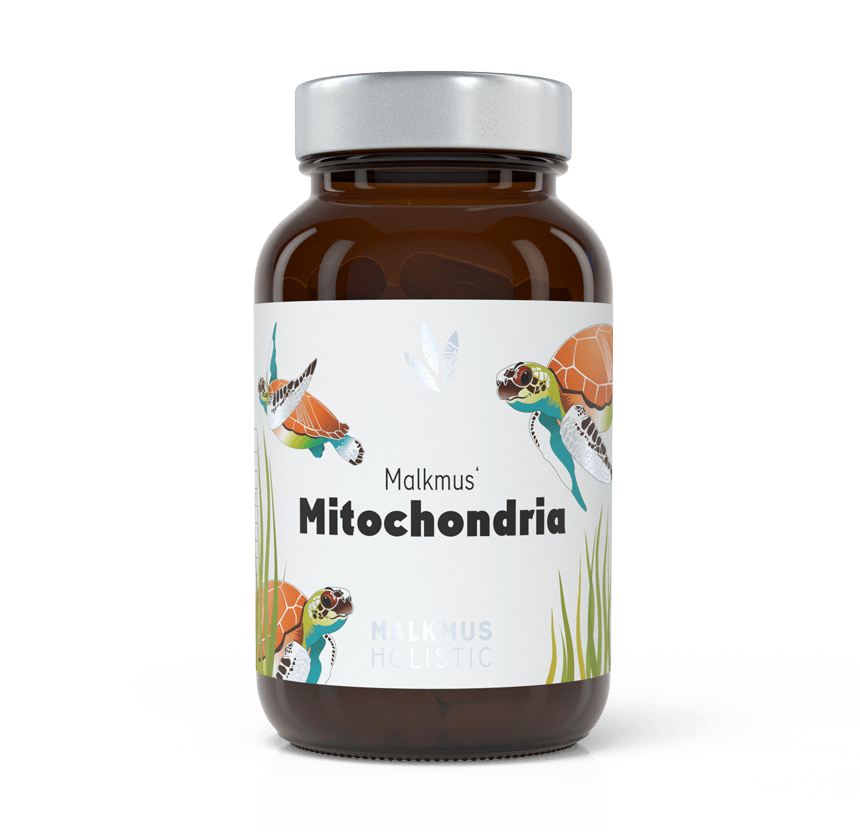 Mitochondrie : production maximale d'énergie pour plus de puissance au quotidien - Malkmus Holistic