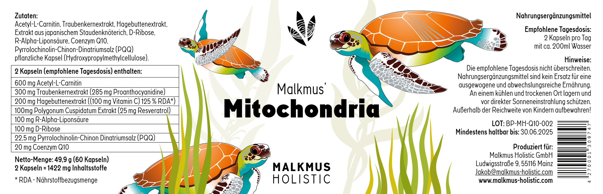 Mitochondrie : production maximale d'énergie pour plus de puissance au quotidien - Malkmus Holistic